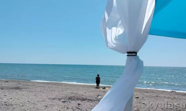 Лучшие отели Абхазии на берегу Лучшие отели Абхазии на берегу